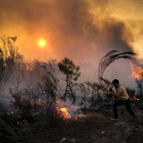 Photo #3751206
