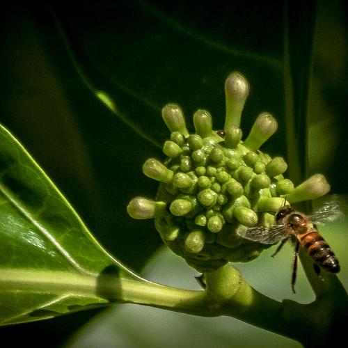 Photo #3751294