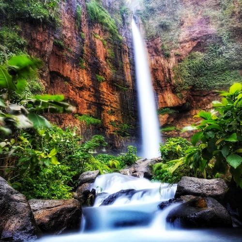 Photo #3751458