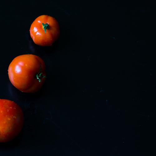 Photo #3751493