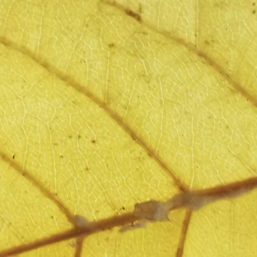 Photo #3752335