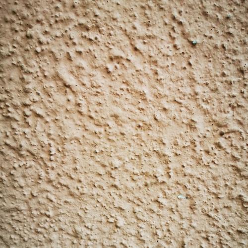 Photo #3752336