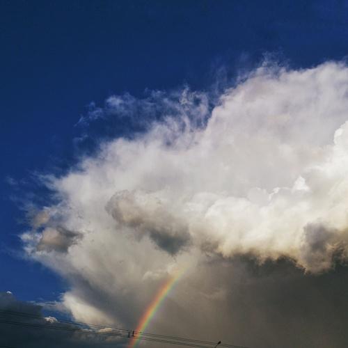 Photo #3752701