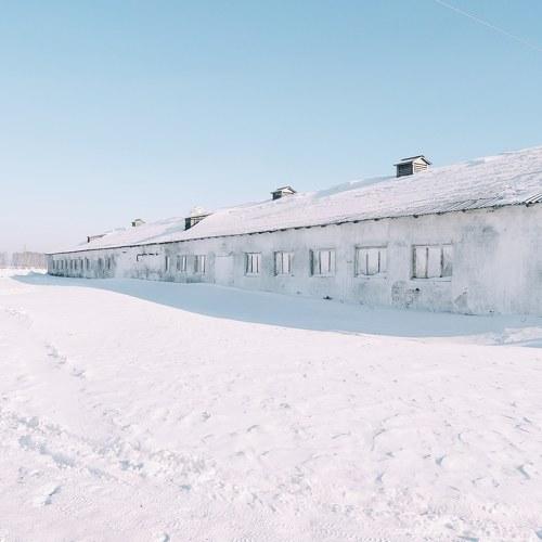 Photo #3752774