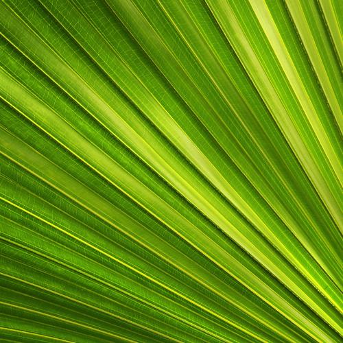 Photo #3753009