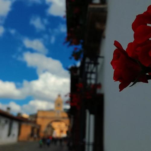 In the streets of beautiful Guatemala