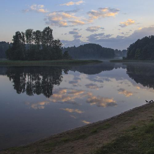 Photo #3753223