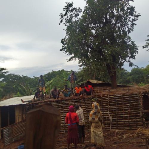 Photo #3753229