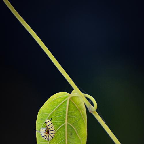 Photo #3753318