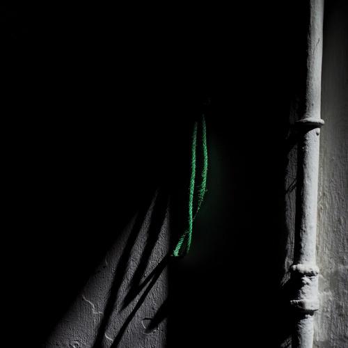 Photo #3753455