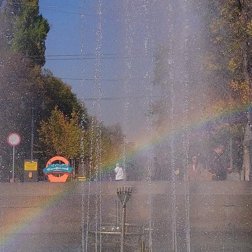 Photo #3753580