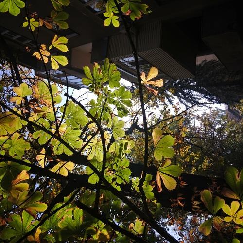 Photo #3753623