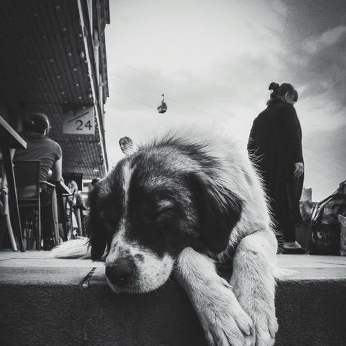 Photo #3754126