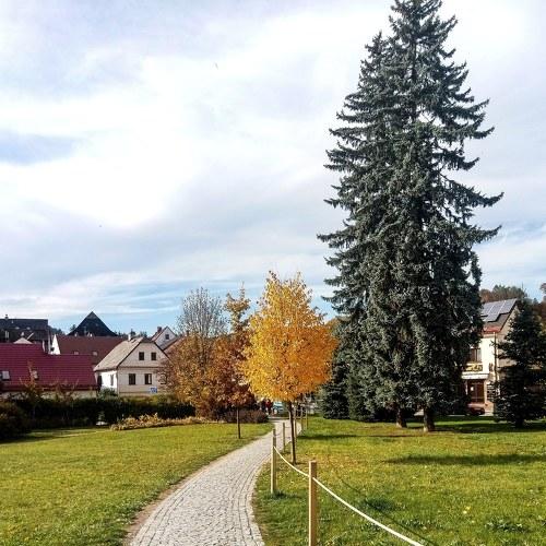 Photo #3754147