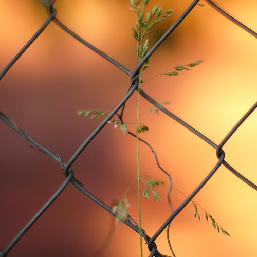 Photo #3754525