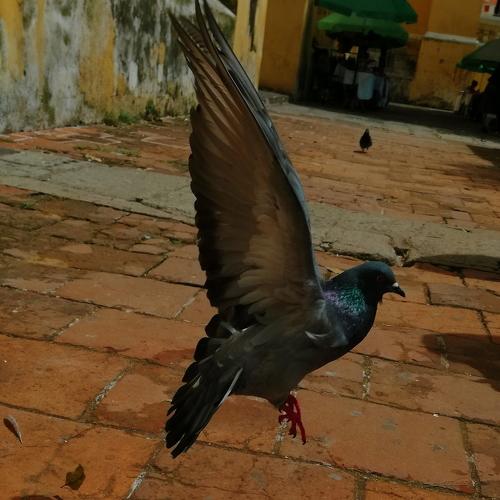 Photo #3755416