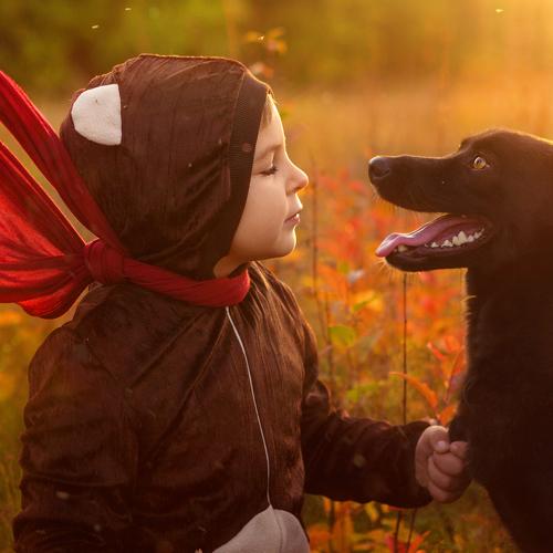Photo #3755450