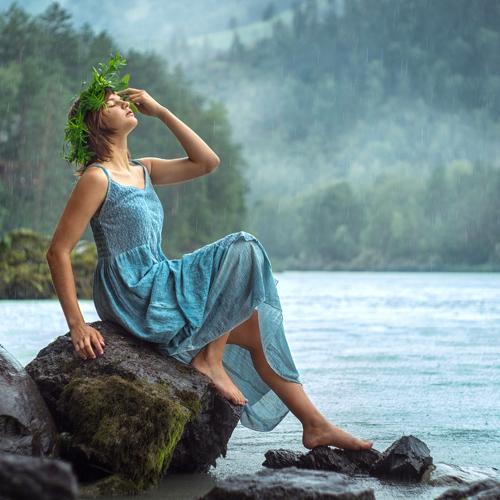 Photo #3755452