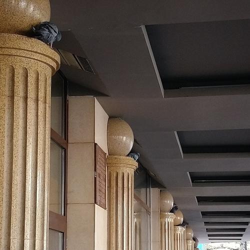 Photo #3755462
