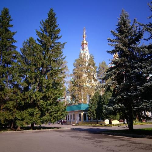 Photo #3755596