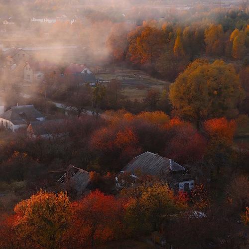 Photo #3755743