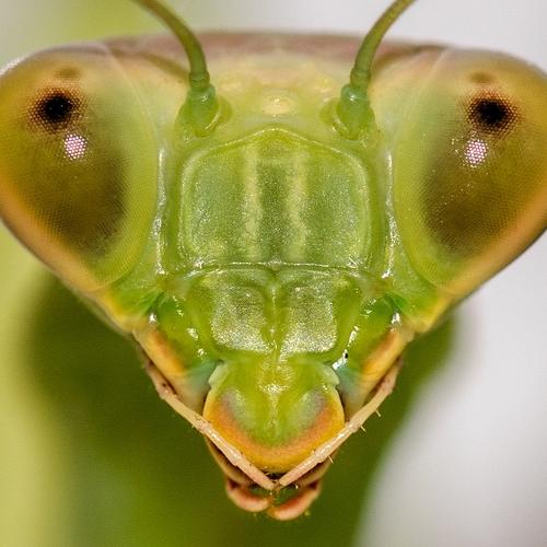 Photo #3755910