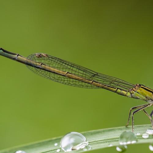 Photo #3755914