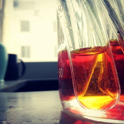Photo #3756075