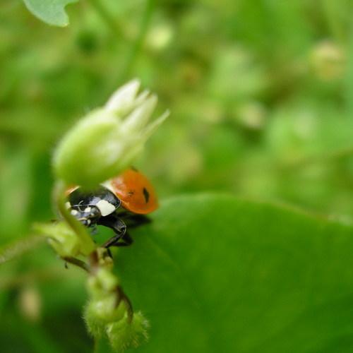 Photo #3756195