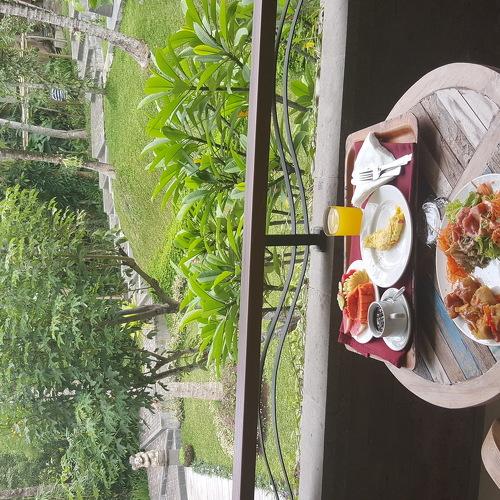 Photo #3756196