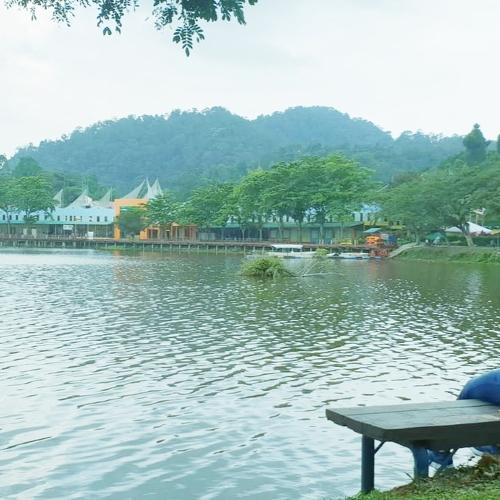 Photo #3756199