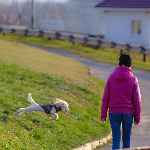 Photo #3756506