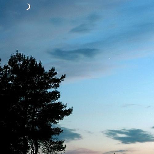 Photo #3756823