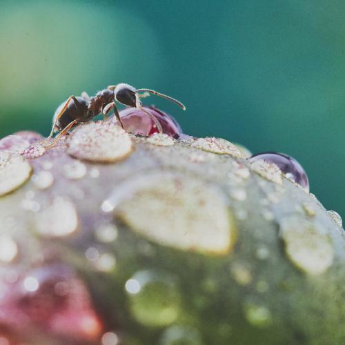 Photo #3756900