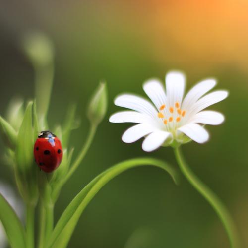 Photo #3757016