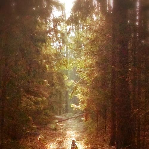Photo #3757055