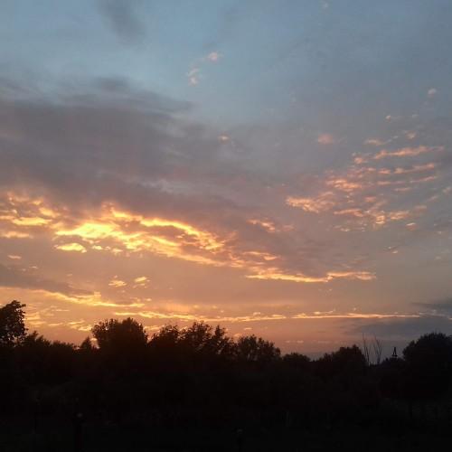 Photo #3757248