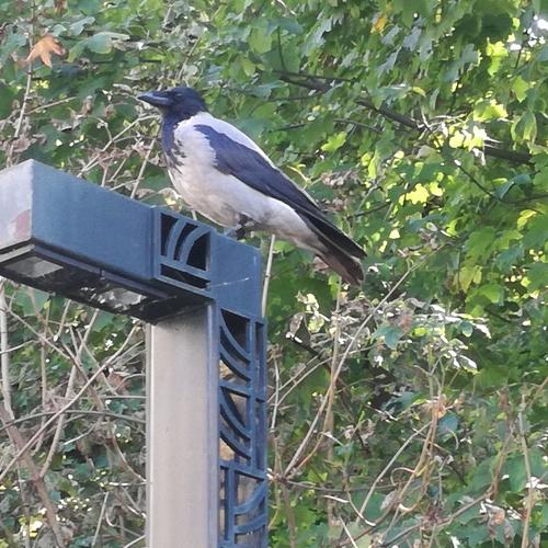 Photo #3757768