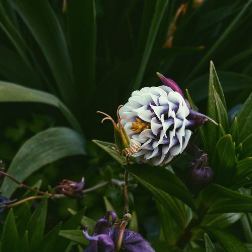 Photo #3757773