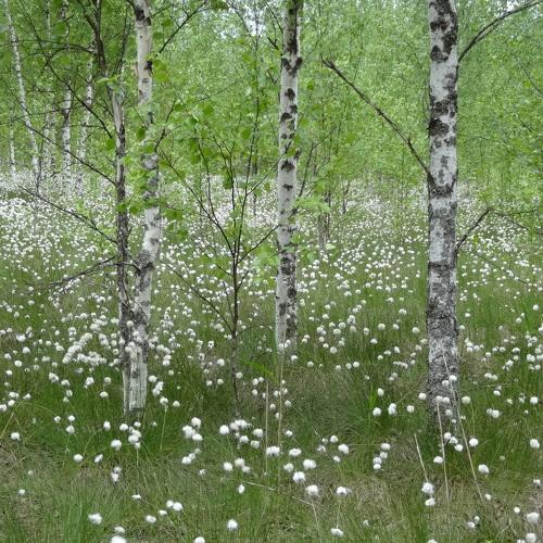 Photo #3757929