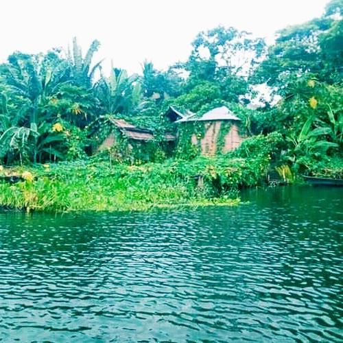 Photo #3758003