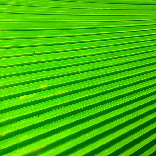 Green colour