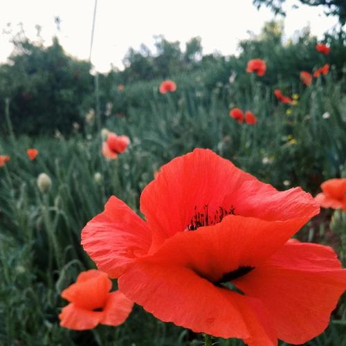 Photo #3759397