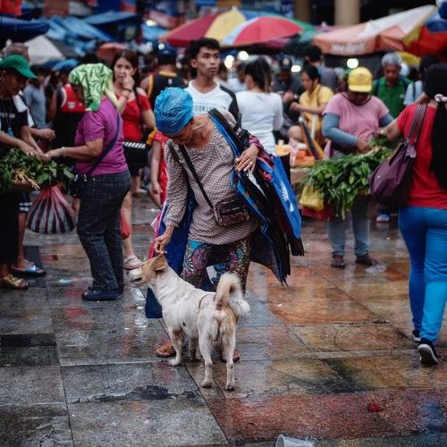 Photo #3760012