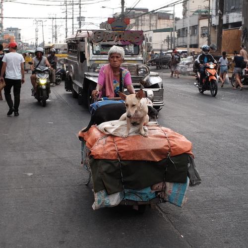 Photo #3760013