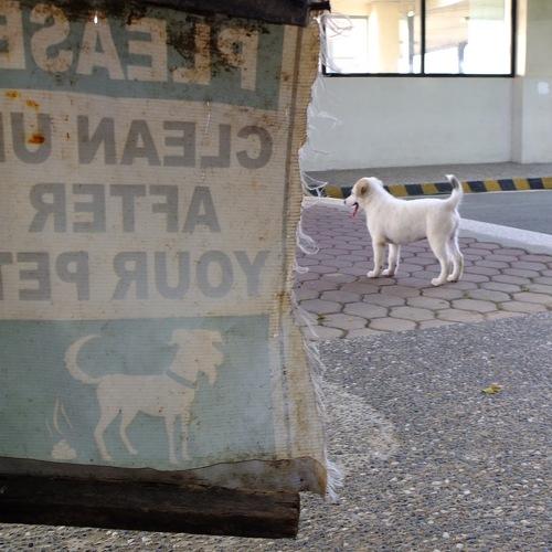 Photo #3760063