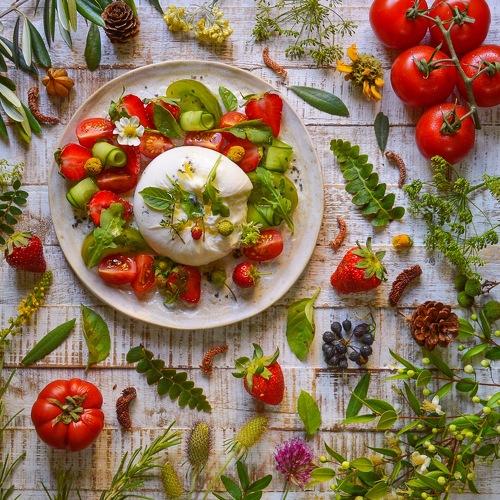 Photo #3760088