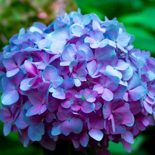 Photo #3760682