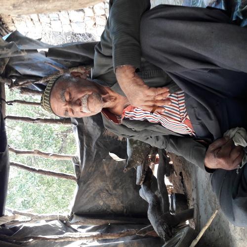 Photo #3760721