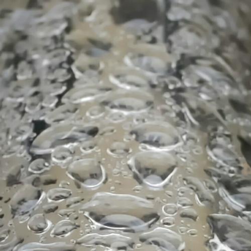 Photo #3761266